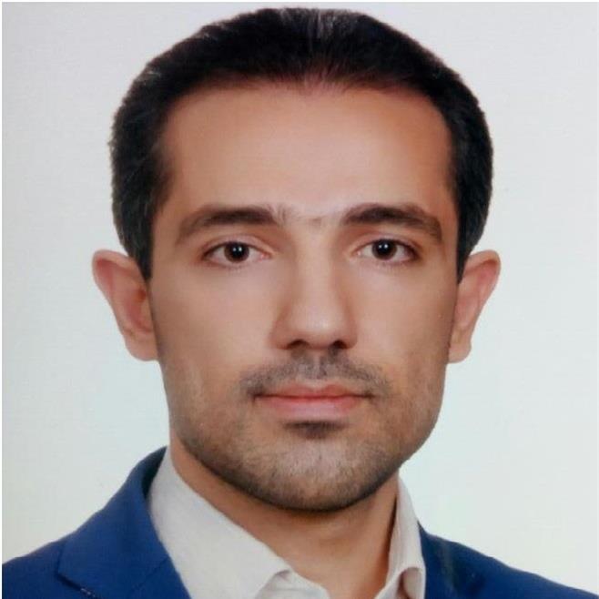 حمیدرضا سنایی پور