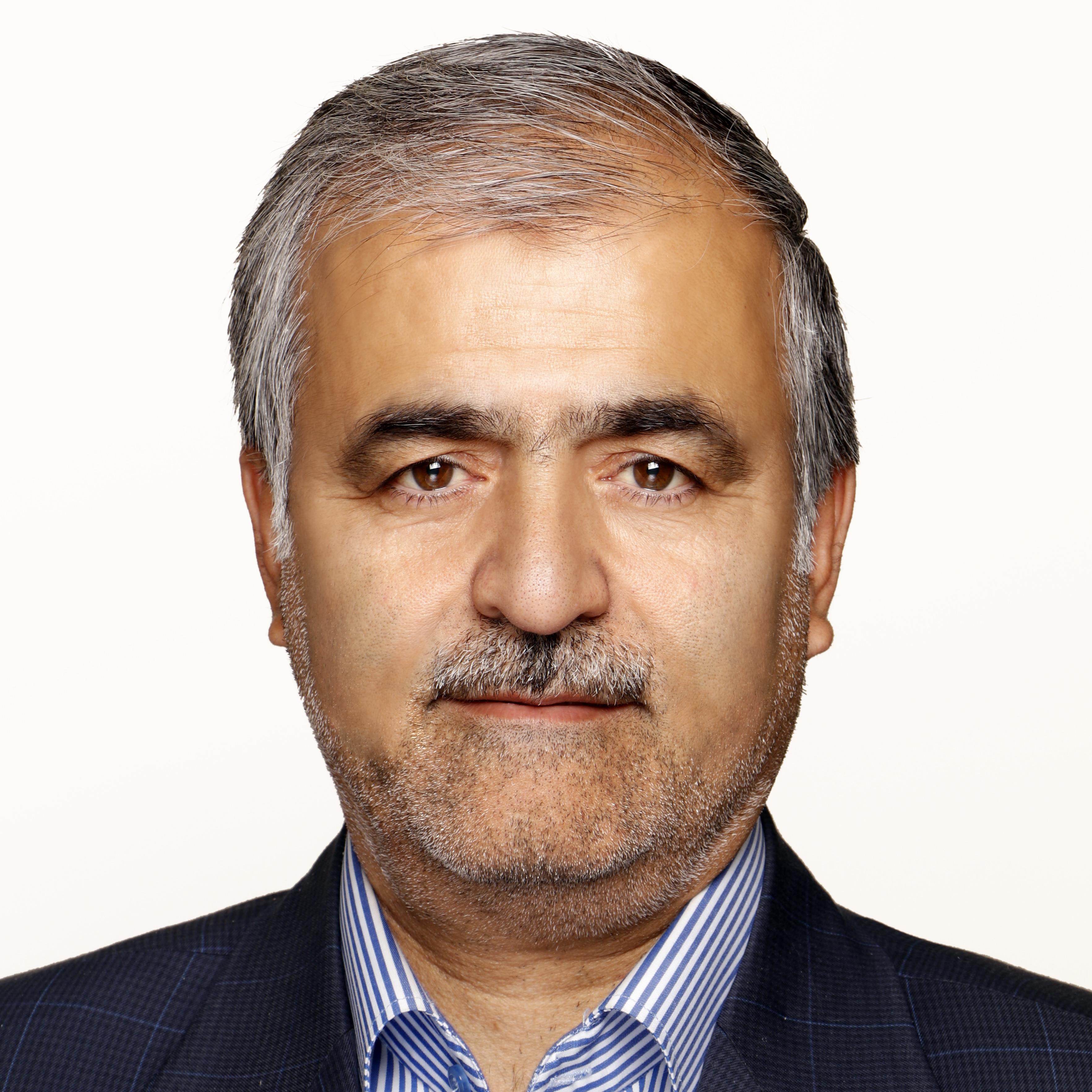 سعید حمیدی
